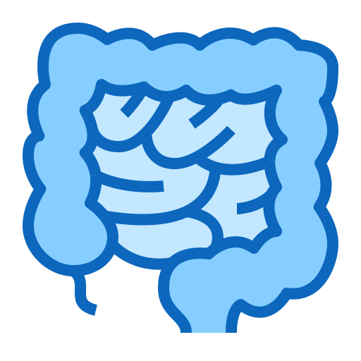 Cáncer de Colon